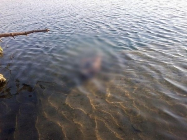 В Малоритском районе пропавшего без вести мужчину нашли утонувшим в мелиоративном канале В Малоритском районе пропавшего без вести мужчину нашли утонувшим в мелиоративном канале