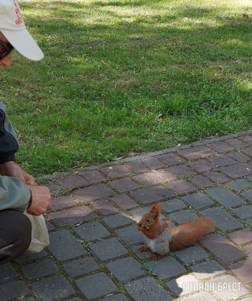 
                Читательница: Сегодня я встретила милого и доброго человека, из рук которого кушала белочка
            