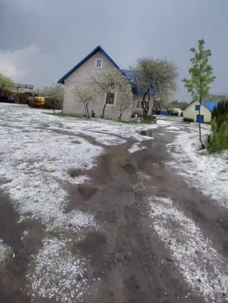 В агрогородке Межлесье Лунинецкого района град повредил плодовые деревья и саженцы В агрогородке Межлесье Лунинецкого района град повредил плодовые деревья и саженцы