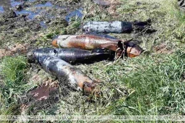 Авиационные снаряды обнаружены недалеко от д. Угляны (Брестская область) Авиационные снаряды обнаружены недалеко от д. Угляны (Брестская область)