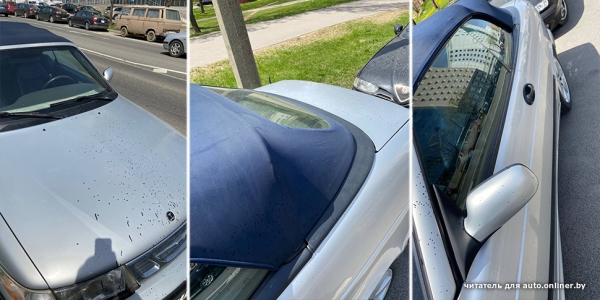 Кто-то облил десятки припаркованных машин гидравлическим маслом. Виновник попал на видео?