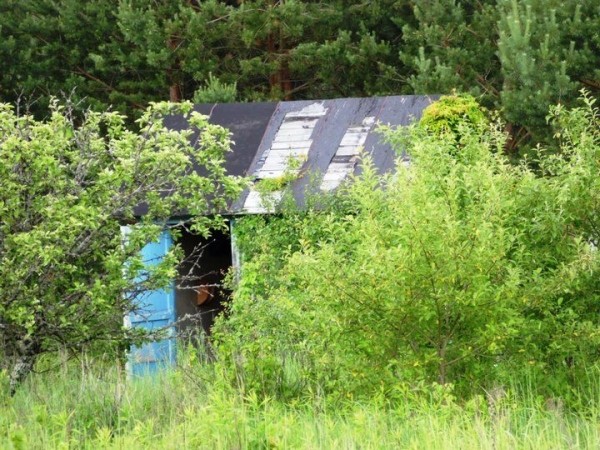 Читатель: Не подскажите, куда можно обратиться со следующей ситуацией, чтобы добиться должного результата?
Читатель: Не подскажите, куда можно обратиться со следующей ситуацией, чтобы добиться должного результата?