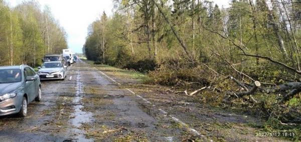 Как белорус застрял на трассе из-за штормовой погоды и добирался домой