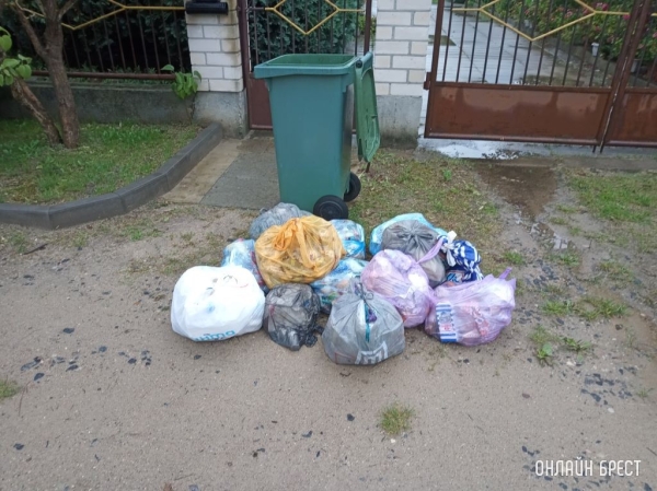 Проблему стихийных свалок в Пинском районе будут решать кардинально