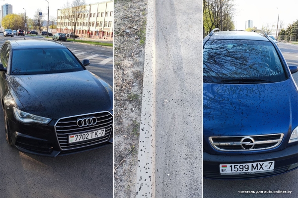 Кто-то облил десятки припаркованных машин гидравлическим маслом. Виновник попал на видео?