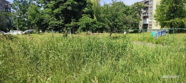 
                Читатель: Брест, ул. Я.Купалы. Вон какая трава вымахала
            