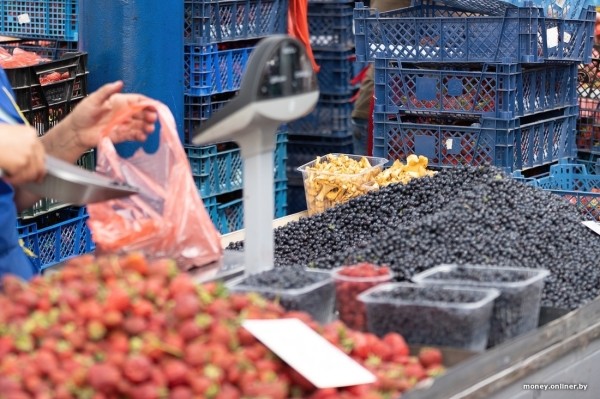 Начался сезон черники. Почем продают первые ягоды из Брестской области?