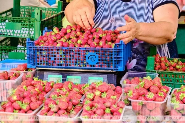 Первые лесные ягоды появились на рынке в Березе. Цены