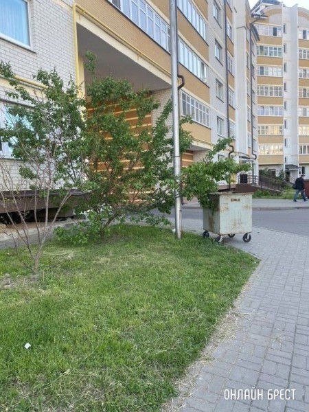 Читатель: Брест, бульвар Космонавтов, 40. Под окном дома круглые сутки стоит мусорный контейнер. Он ведь должен стоять в шахте мусоропровода?
Читатель: Брест, бульвар Космонавтов, 40. Под окном дома круглые сутки стоит мусорный контейнер. Он ведь должен стоять в шахте мусоропровода?