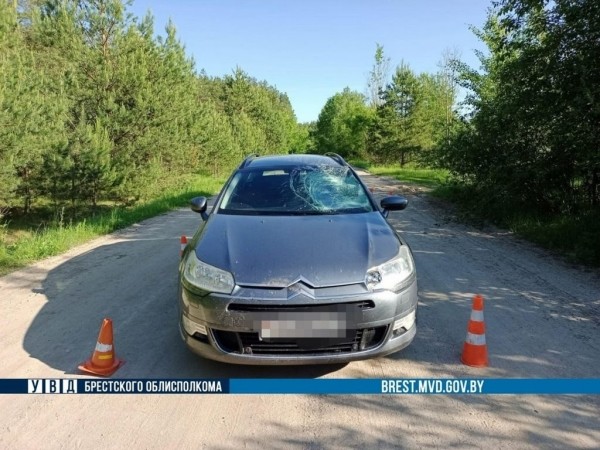В Каменецком районе водитель автомобиля Citroen сбил велосипедиста