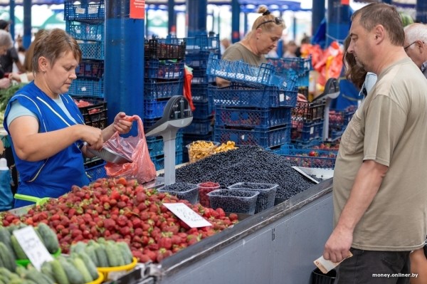 Начался сезон черники. Почем продают первые ягоды из Брестской области?