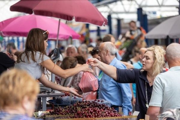 Начался сезон черники. Почем продают первые ягоды из Брестской области?