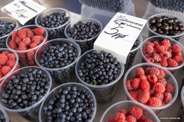Начался сезон черники. Почем продают первые ягоды из Брестской области?