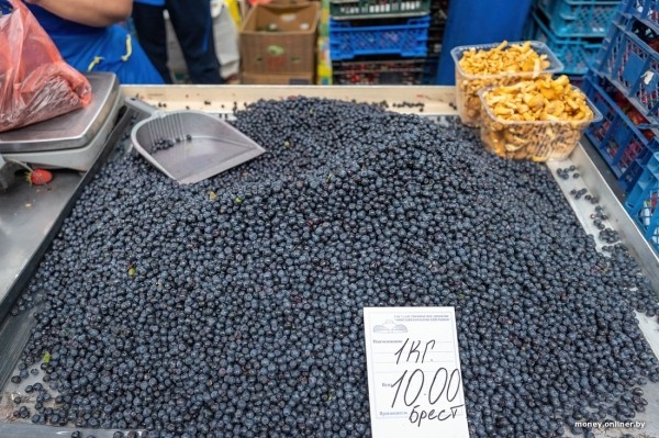 Начался сезон черники. Почем продают первые ягоды из Брестской области?