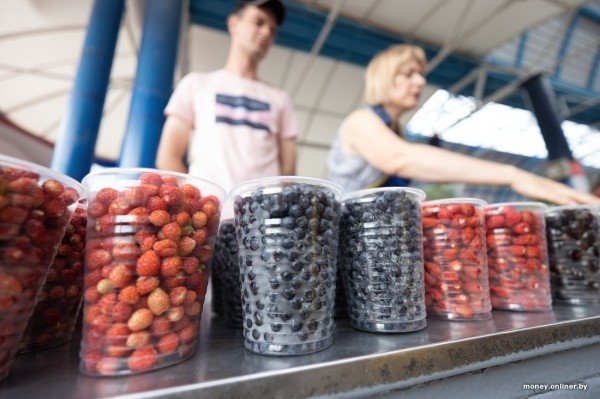 Начался сезон черники. Почем продают первые ягоды из Брестской области?