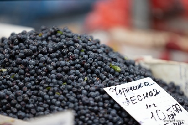 Начался сезон черники. Почем продают первые ягоды из Брестской области?