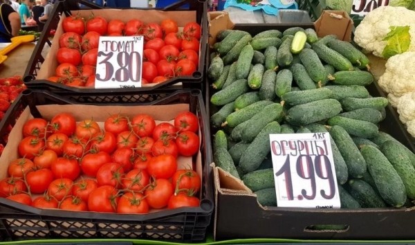 Как первыми ценами белорусов «укололи» огурцы Как первыми ценами белорусов «укололи» огурцы