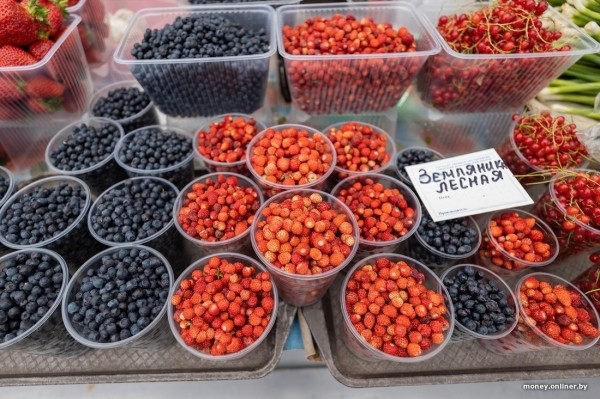 Начался сезон черники. Почем продают первые ягоды из Брестской области?