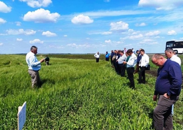 В Пинском районе показали, как работает инновационный цех по гранулированию травяных кормов В Пинском районе показали, как работает инновационный цех по гранулированию травяных кормов