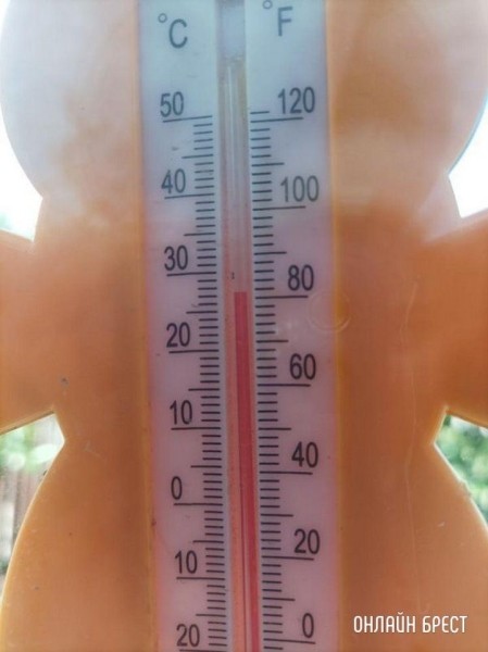 Читатель: Брестская область, Ивановский район. И это в тени!
Читатель: Брестская область, Ивановский район. И это в тени!