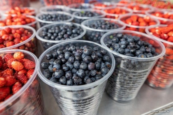 Начался сезон черники. Почем продают первые ягоды из Брестской области?