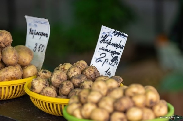 Наконец-то молодая белорусская картошка. Смотрим, почем у нас и у соседей Наконец-то молодая белорусская картошка. Смотрим, почем у нас и у соседей