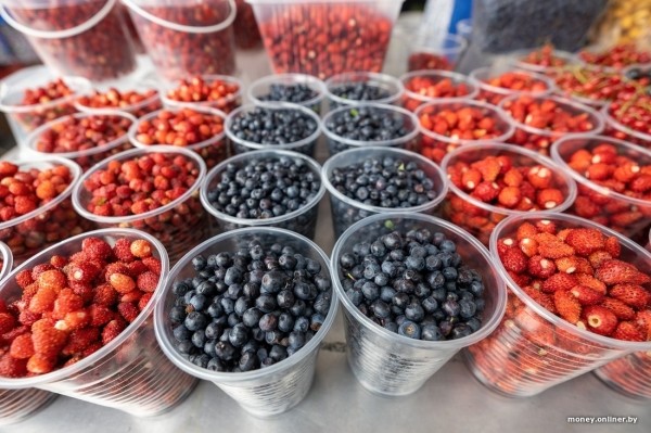 Начался сезон черники. Почем продают первые ягоды из Брестской области?