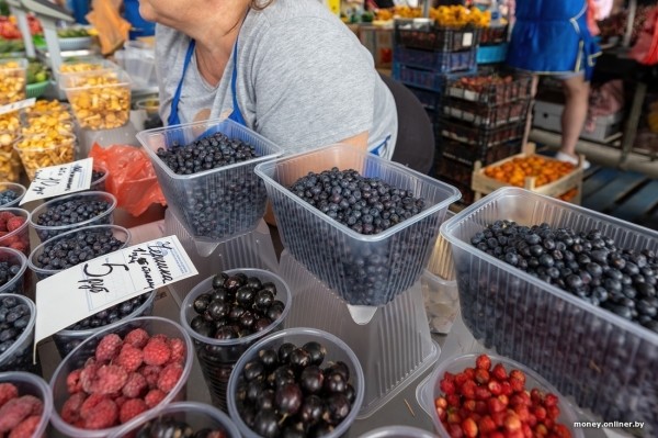 Начался сезон черники. Почем продают первые ягоды из Брестской области?