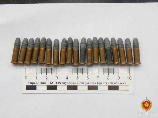 Житель Брестского района украл у сожительницы деньги и подкинул патроны