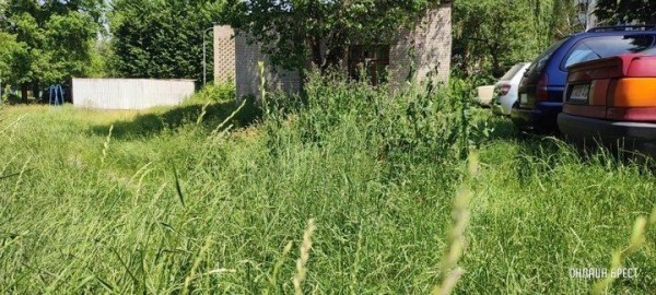 
                Читатель: Брест, ул. Я.Купалы. Вон какая трава вымахала
            