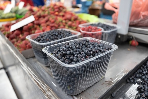 Начался сезон черники. Почем продают первые ягоды из Брестской области?