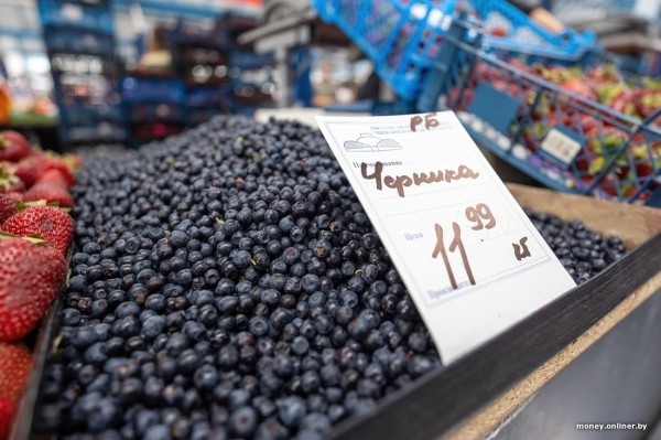 Начался сезон черники. Почем продают первые ягоды из Брестской области?