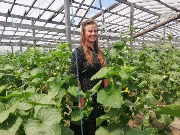 Как первыми ценами белорусов «укололи» огурцы Как первыми ценами белорусов «укололи» огурцы