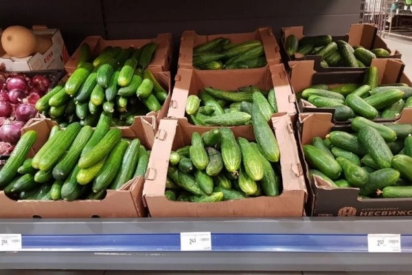 Как первыми ценами белорусов «укололи» огурцы Как первыми ценами белорусов «укололи» огурцы