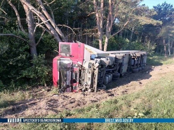 Всё из-за лося. На М1 под Брестом фура «ушла» в кювет