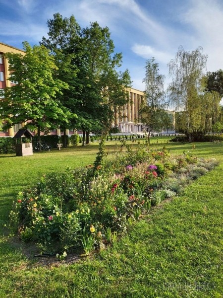 Читатель: Красивая клумба в Бресте на территории БрГТУ
Читатель: Красивая клумба в Бресте на территории БрГТУ