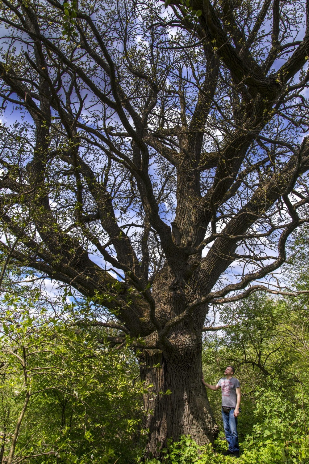 Са 147-годдзем Уладзіміра Адамава, Максім Жукаў! Са 147-годдзем Уладзіміра Адамава, Максім Жукаў!