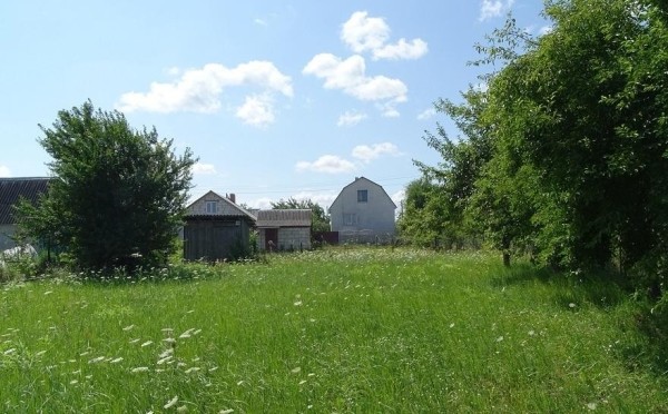 Александр Лукашенко подписал новую редакцию Кодекса о земле. Что меняется?