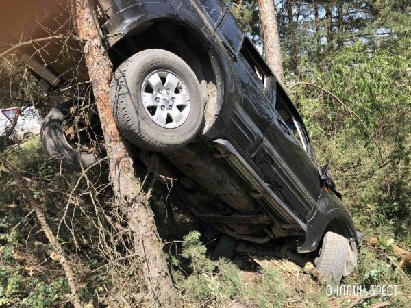 В Кобринском районе автоледи не справилась с управлением, легковушка повисла на дереве В Кобринском районе автоледи не справилась с управлением, легковушка повисла на дереве