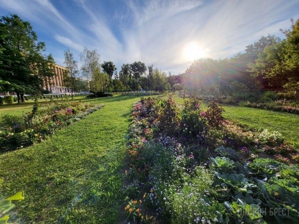 Читатель: Красивая клумба в Бресте на территории БрГТУ
Читатель: Красивая клумба в Бресте на территории БрГТУ