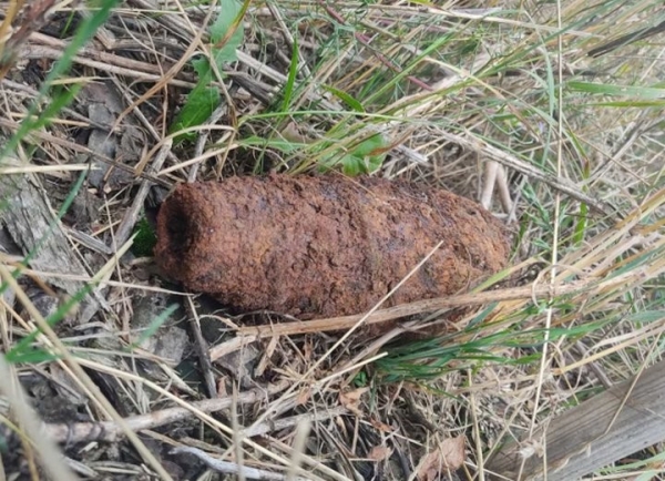 Житель Лунинецкого района откопал мину времен ВОВ