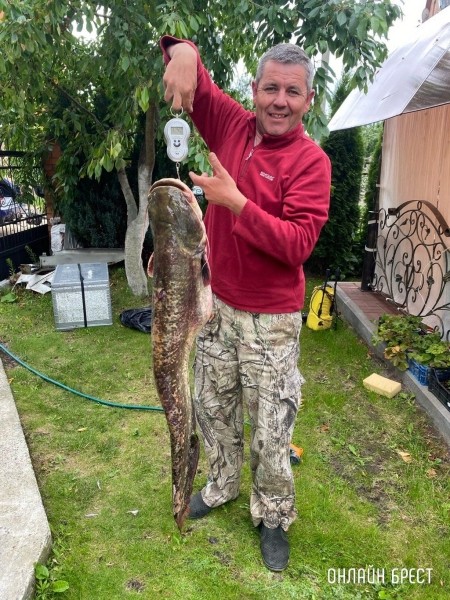 Читатель: Житель Бреста выловил в Пинском районе 12-килограммового сома
Читатель: Житель Бреста выловил в Пинском районе 12-килограммового сома