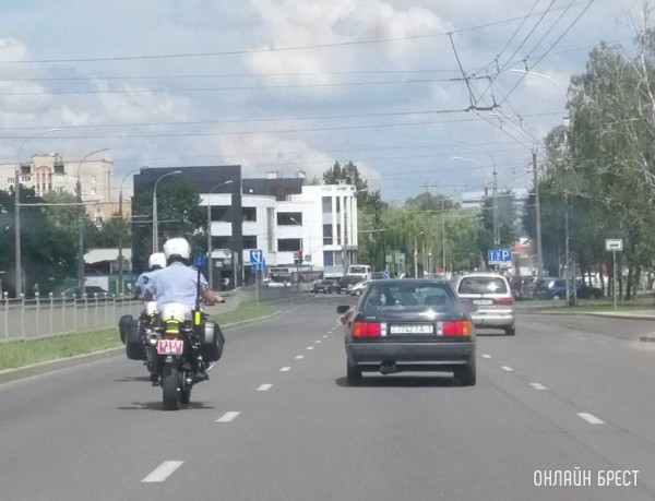 Проскочить на красный. Сколько водителей оштрафовали за это нарушение в Брестской области