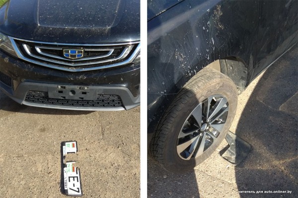 Собаки — это понятно. А посмотрите, что с машиной может сделать кот Собаки — это понятно. А посмотрите, что с машиной может сделать кот