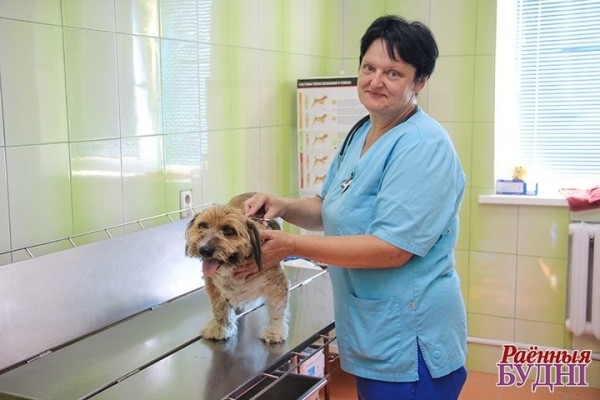 Врач из Брестской области рассказала о необычных пациентах ветклиники