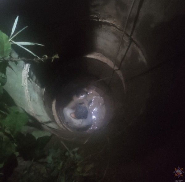 В Беларуси мужчина провалился в колодец и застрял в илистом дне В Беларуси мужчина провалился в колодец и застрял в илистом дне