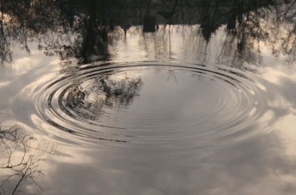 В Барановичах утонул рыбак