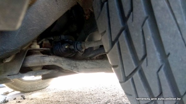 Собаки — это понятно. А посмотрите, что с машиной может сделать кот Собаки — это понятно. А посмотрите, что с машиной может сделать кот