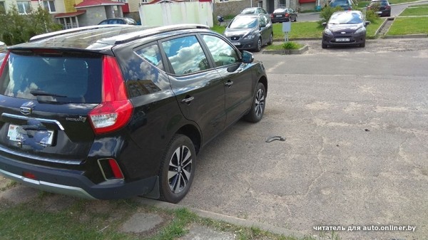 Собаки — это понятно. А посмотрите, что с машиной может сделать кот Собаки — это понятно. А посмотрите, что с машиной может сделать кот