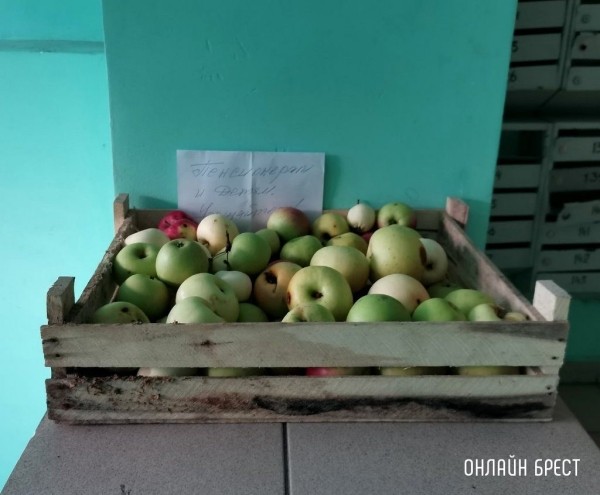 Читатель: Приятно был удивлен сегодня утром зайдя в один из домов по ул. Суворова в Бресте
Читатель: Приятно был удивлен сегодня утром зайдя в один из домов по ул. Суворова в Бресте